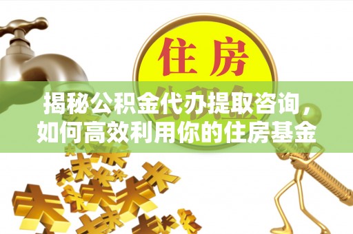 士林揭秘公积金代办提取咨询，如何高效利用你的住房基金