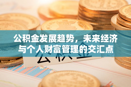 士林公积金发展趋势，未来经济与个人财富管理的交汇点