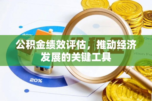 士林公积金绩效评估，推动经济发展的关键工具