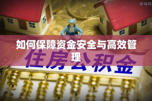 士林如何保障资金安全与高效管理