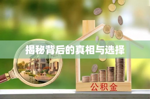 士林揭秘背后的真相与选择