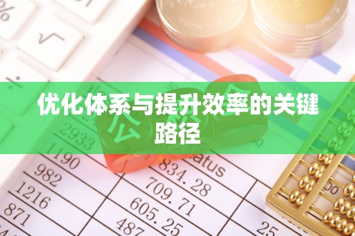 士林优化体系与提升效率的关键路径