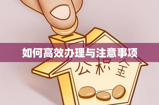 士林如何高效办理与注意事项