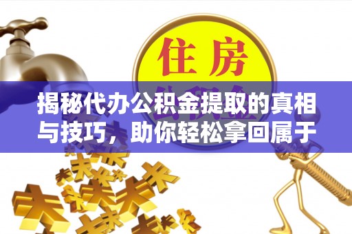 士林揭秘代办公积金提取的真相与技巧，助你轻松拿回属于你的钱