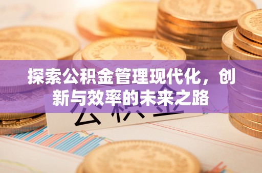 士林探索公积金管理现代化，创新与效率的未来之路