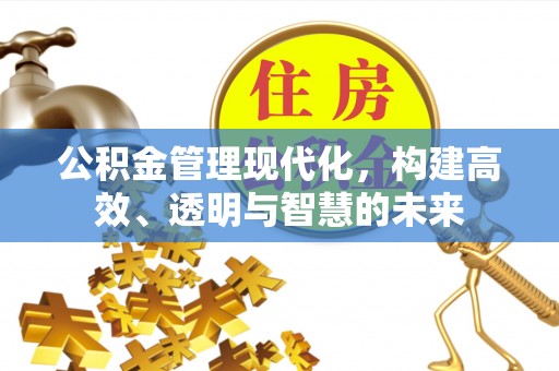 士林公积金管理现代化，构建高效、透明与智慧的未来