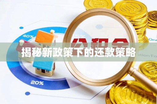 士林揭秘新政策下的还款策略