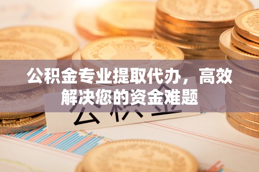 士林公积金专业提取代办，高效解决您的资金难题
