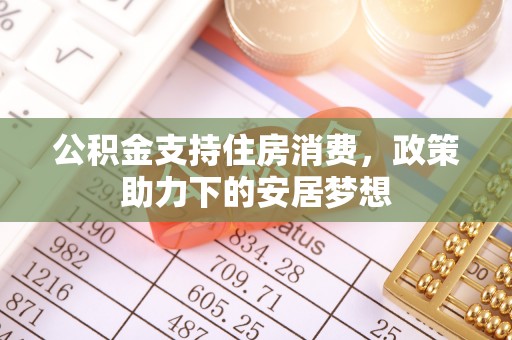士林公积金支持住房消费，政策助力下的安居梦想
