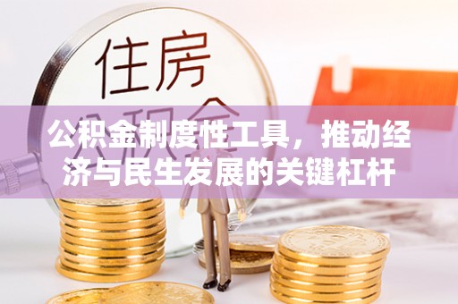 士林公积金制度性工具，推动经济与民生发展的关键杠杆