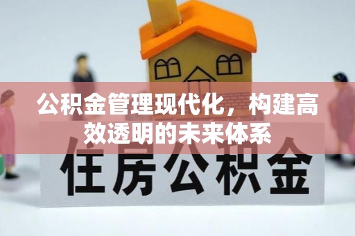 士林公积金管理现代化，构建高效透明的未来体系
