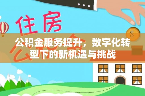 士林公积金服务提升，数字化转型下的新机遇与挑战