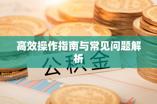 士林高效操作指南与常见问题解析