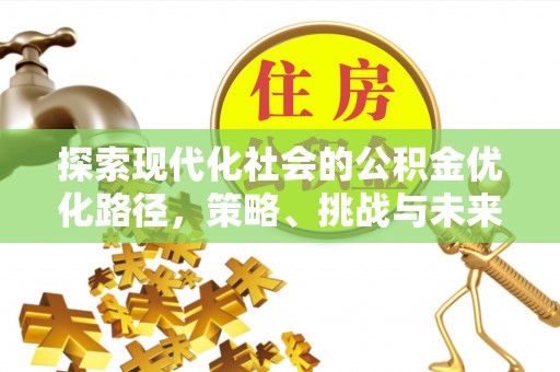 士林探索现代化社会的公积金优化路径，策略、挑战与未来展望
