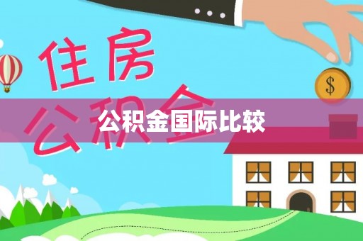 士林公积金国际比较