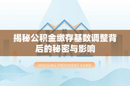 士林揭秘公积金缴存基数调整背后的秘密与影响