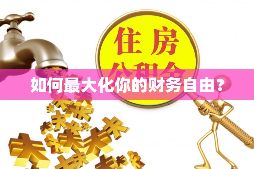士林如何最大化你的财务自由？