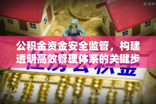 士林公积金资金安全监管，构建透明高效管理体系的关键步骤