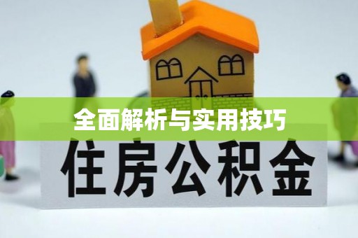 士林全面解析与实用技巧