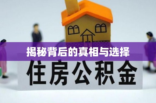 士林揭秘背后的真相与选择