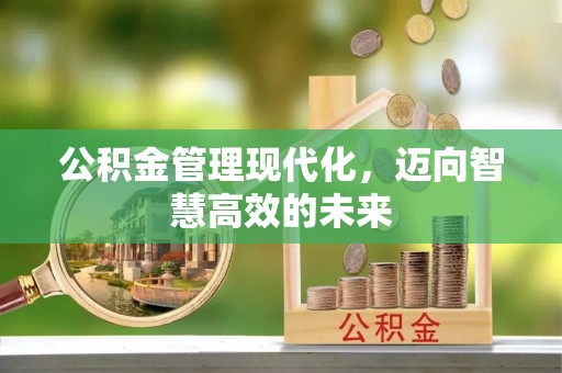 士林公积金管理现代化，迈向智慧高效的未来