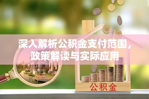 士林深入解析公积金支付范围，政策解读与实际应用