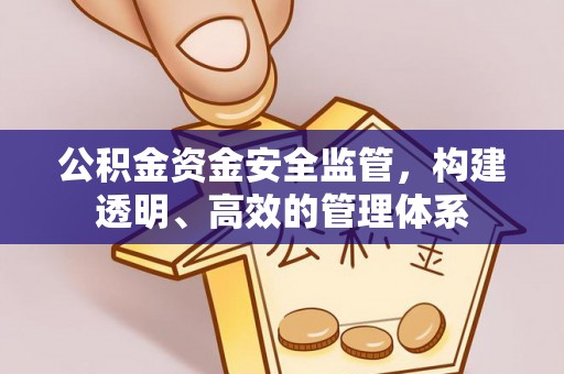 士林公积金资金安全监管，构建透明、高效的管理体系
