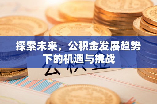 士林探索未来，公积金发展趋势下的机遇与挑战