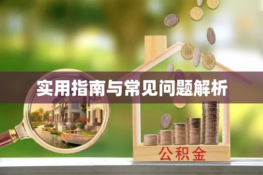 士林实用指南与常见问题解析