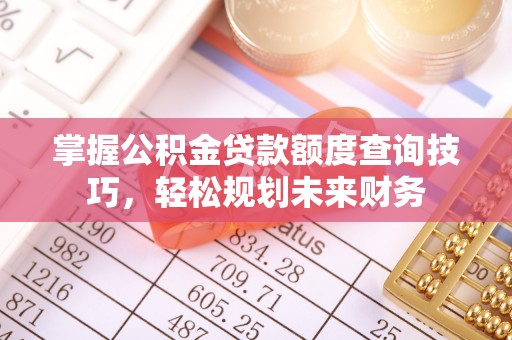 士林掌握公积金贷款额度查询技巧，轻松规划未来财务