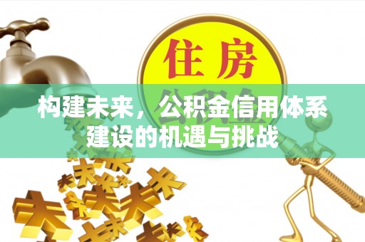 士林构建未来，公积金信用体系建设的机遇与挑战