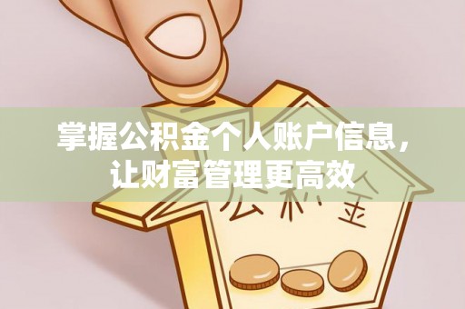 士林掌握公积金个人账户信息，让财富管理更高效