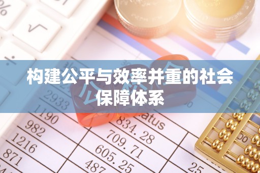 士林构建公平与效率并重的社会保障体系