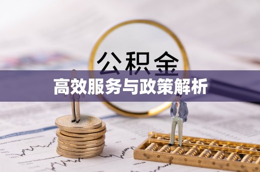 士林高效服务与政策解析