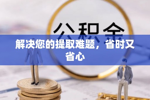 士林解决您的提取难题，省时又省心