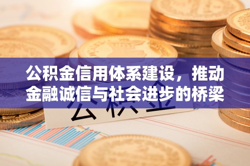 士林公积金信用体系建设，推动金融诚信与社会进步的桥梁