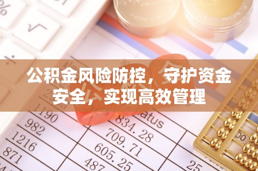 士林公积金风险防控，守护资金安全，实现高效管理