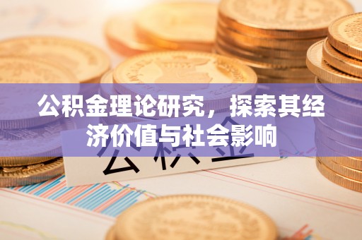 士林公积金理论研究，探索其经济价值与社会影响