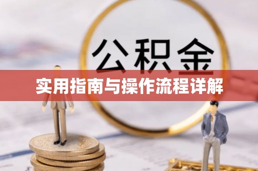 士林实用指南与操作流程详解