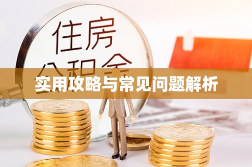 士林实用攻略与常见问题解析