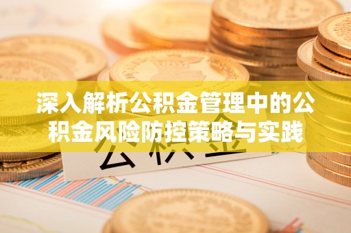 士林深入解析公积金管理中的公积金风险防控策略与实践