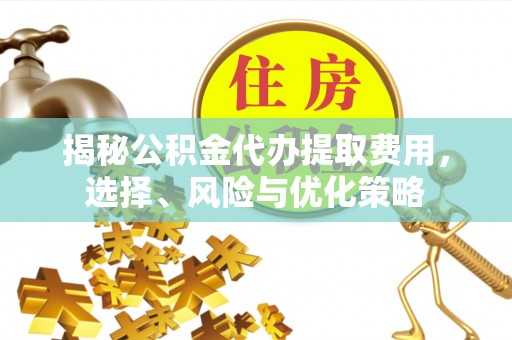 士林揭秘公积金代办提取费用，选择、风险与优化策略
