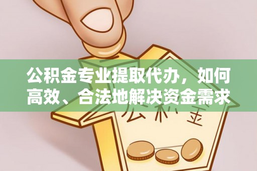 士林公积金专业提取代办，如何高效、合法地解决资金需求？