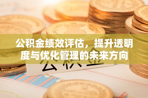 士林公积金绩效评估，提升透明度与优化管理的未来方向