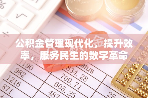 士林公积金管理现代化，提升效率，服务民生的数字革命