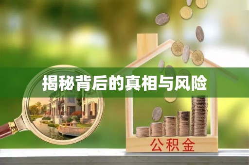 士林揭秘背后的真相与风险