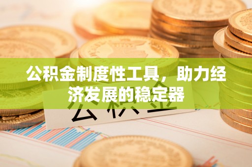 士林公积金制度性工具，助力经济发展的稳定器