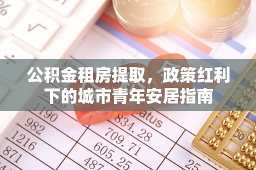 士林公积金租房提取，政策红利下的城市青年安居指南