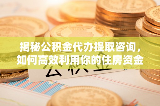 士林揭秘公积金代办提取咨询，如何高效利用你的住房资金