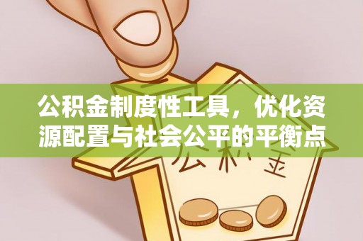 士林公积金制度性工具，优化资源配置与社会公平的平衡点